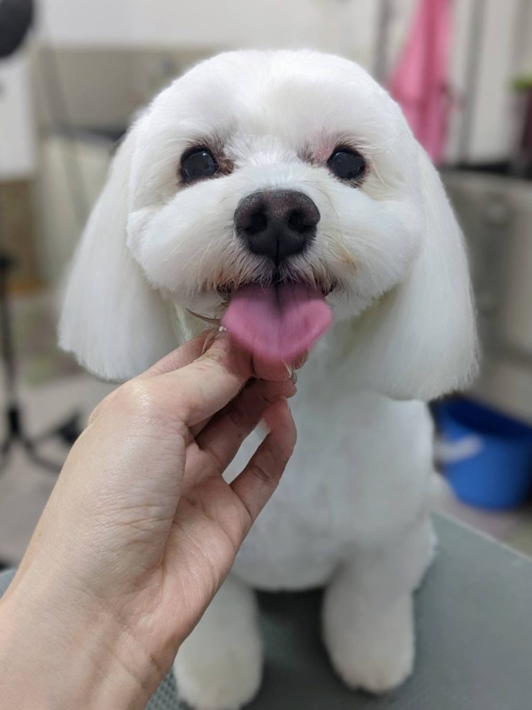 マルオくん