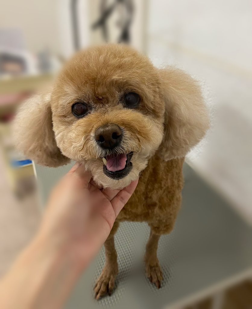 みるくちゃん