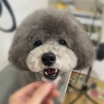 ふぇ1.jpeg