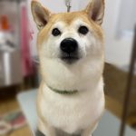 ち3-1.jpeg