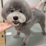 ふぇ1.jpeg