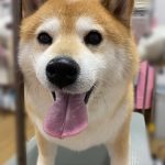 こ2.jpeg