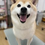 ち2-4.jpeg