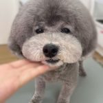 ふぇ1.jpeg