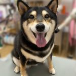 な3.jpeg