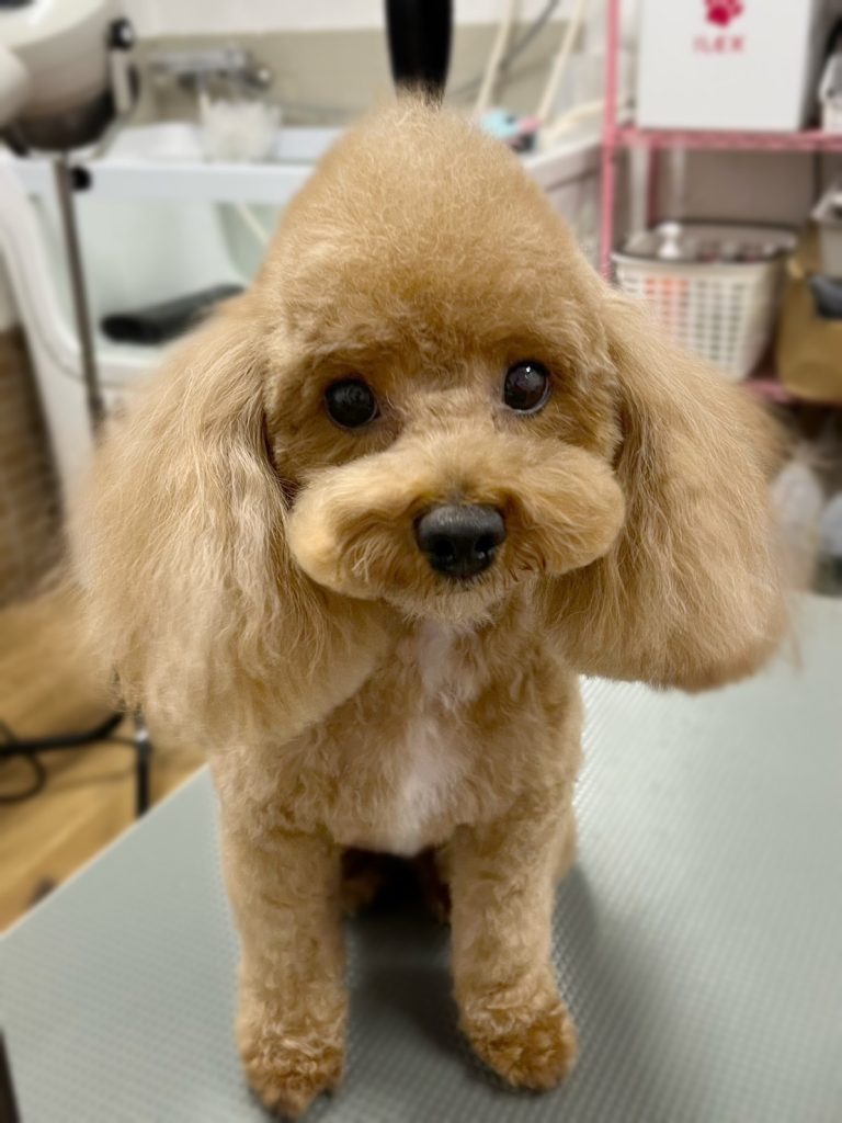 はちくん