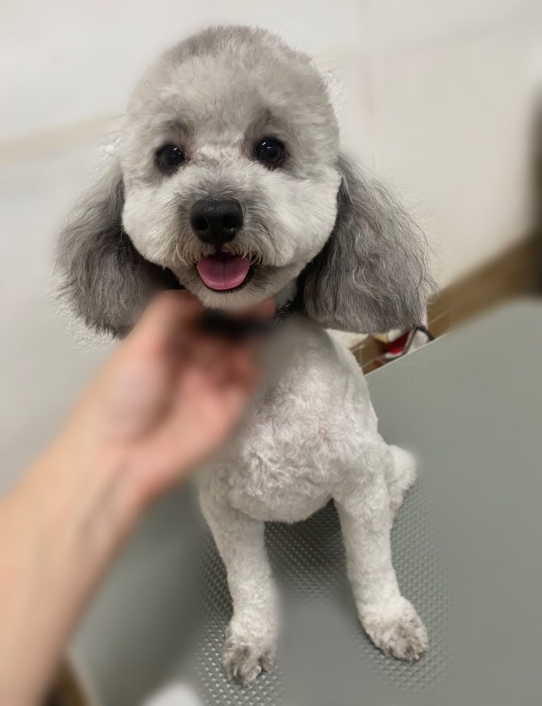 テオくん