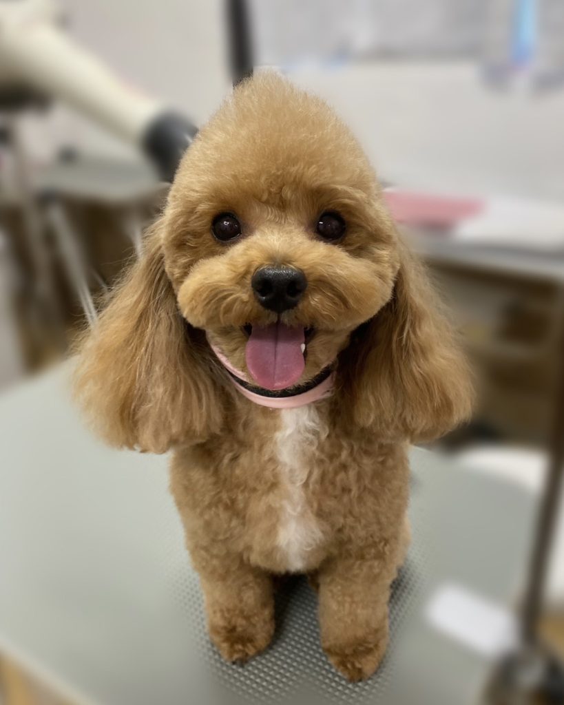 はちくん