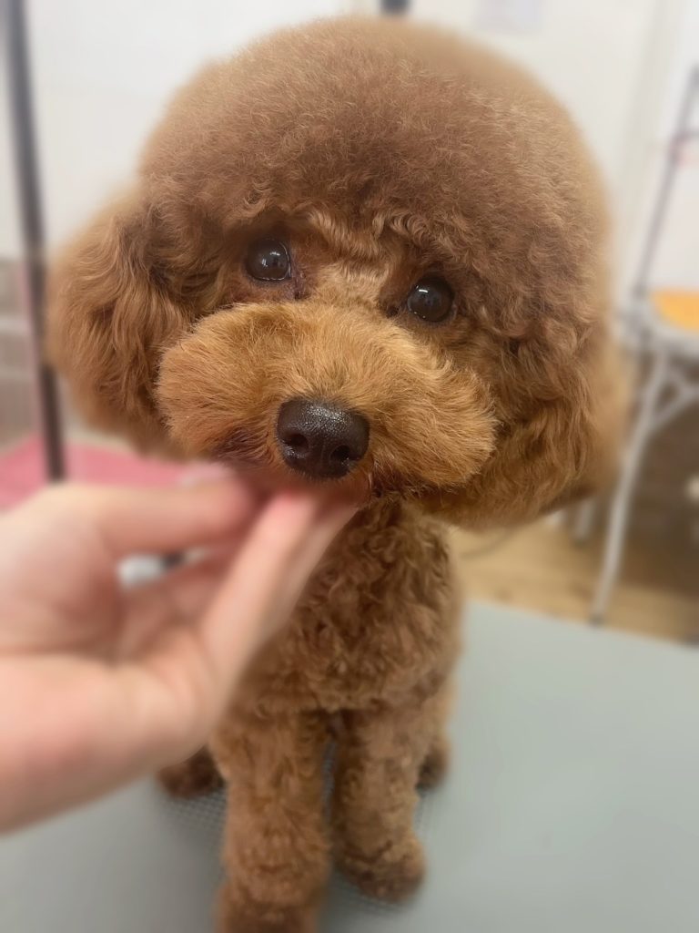 塁くん