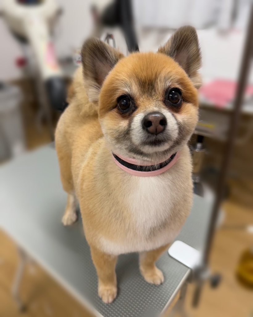 てるみちゃん