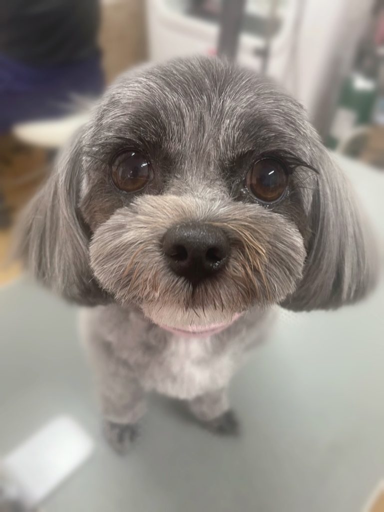 まるちゃん