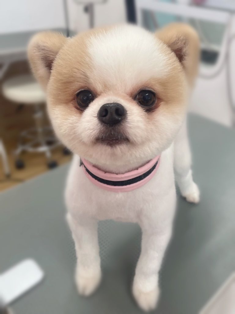 想空くん
