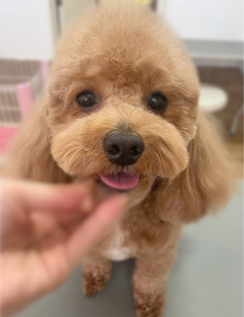 はちくん