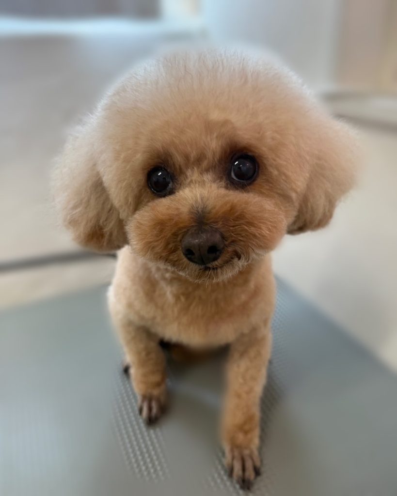 アイちゃん