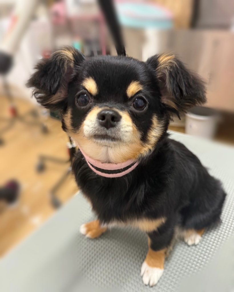 うめちゃん