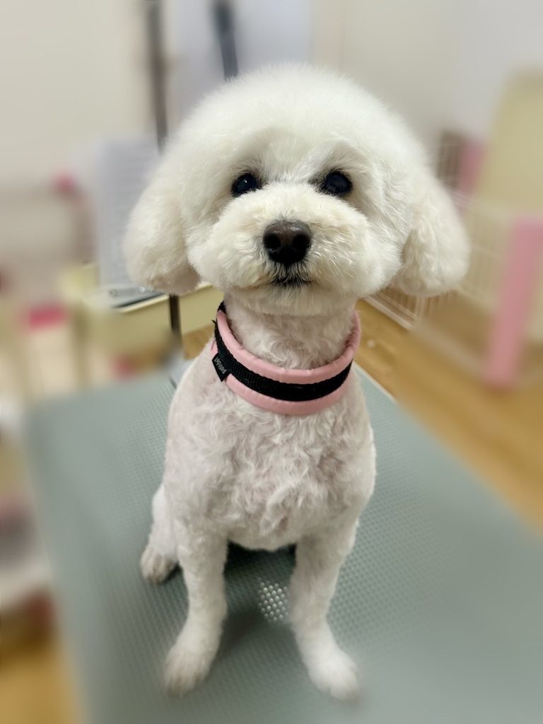 くむちゃん