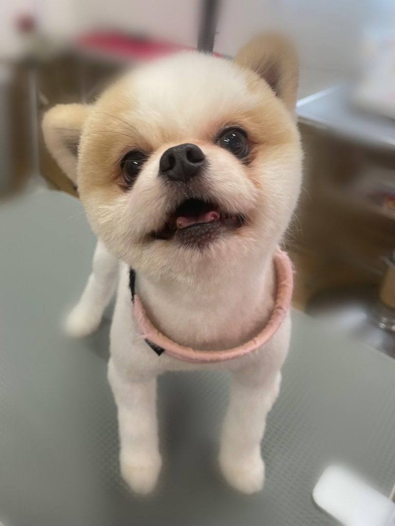 想空くん
