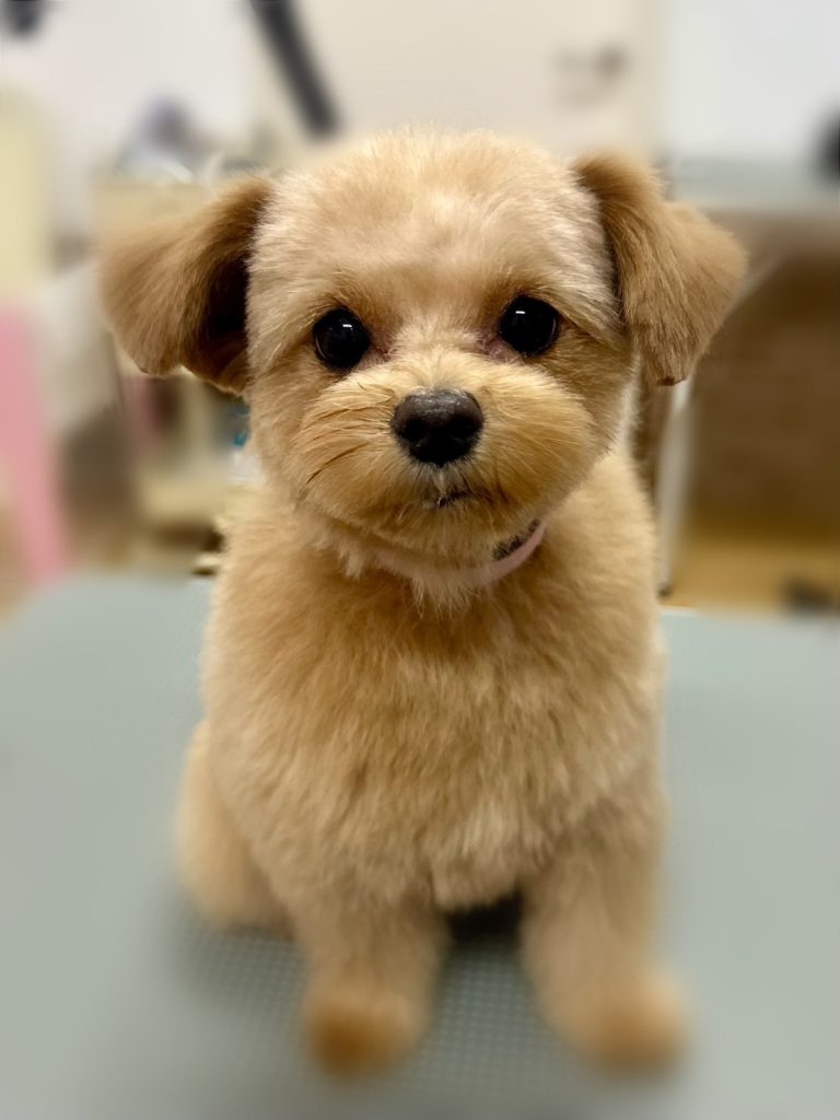 ひびきちゃん