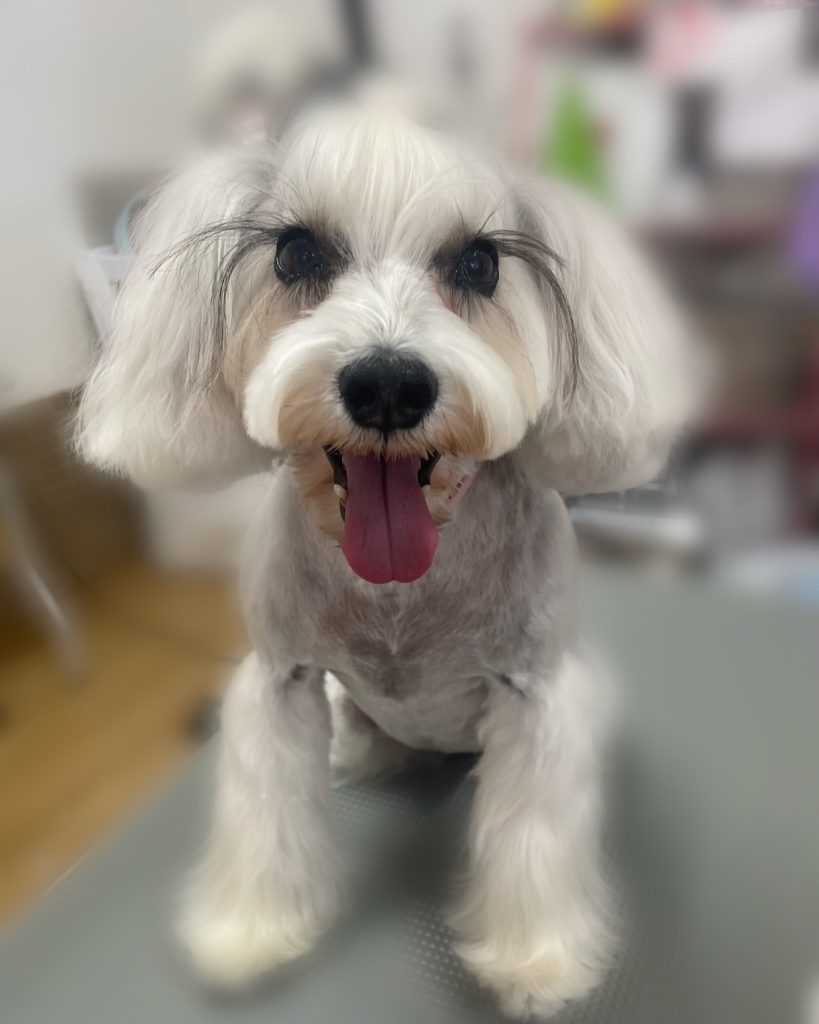 ユンちゃん