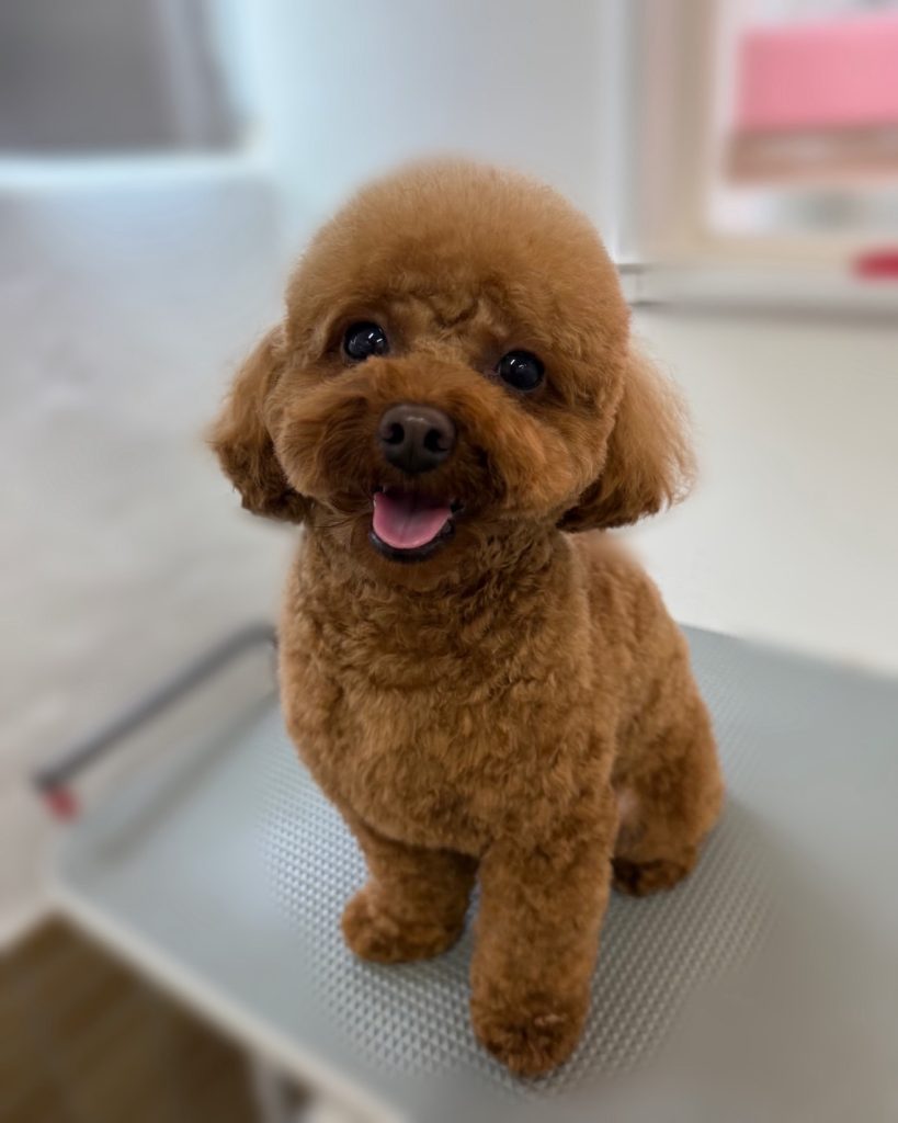 ＭＯＫＯちゃん