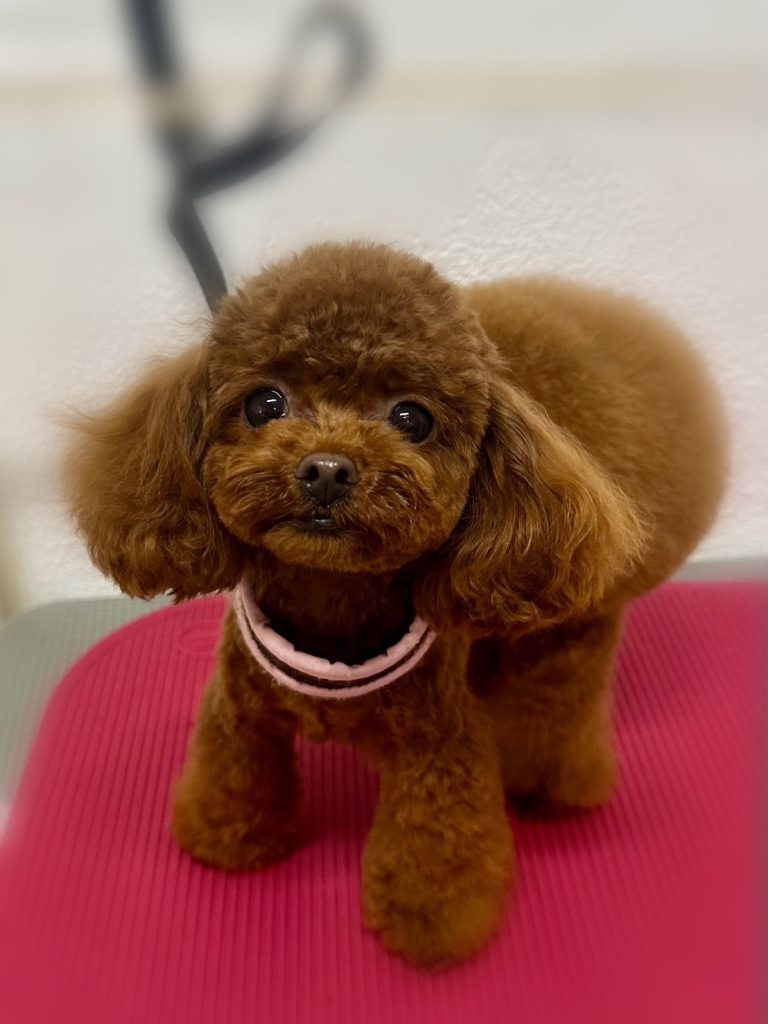 Uruちゃん