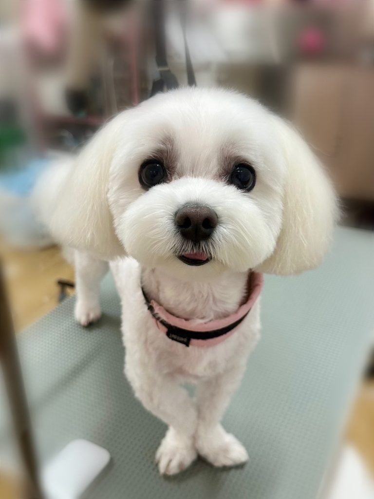 うるちゃん