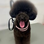 エマちゃん