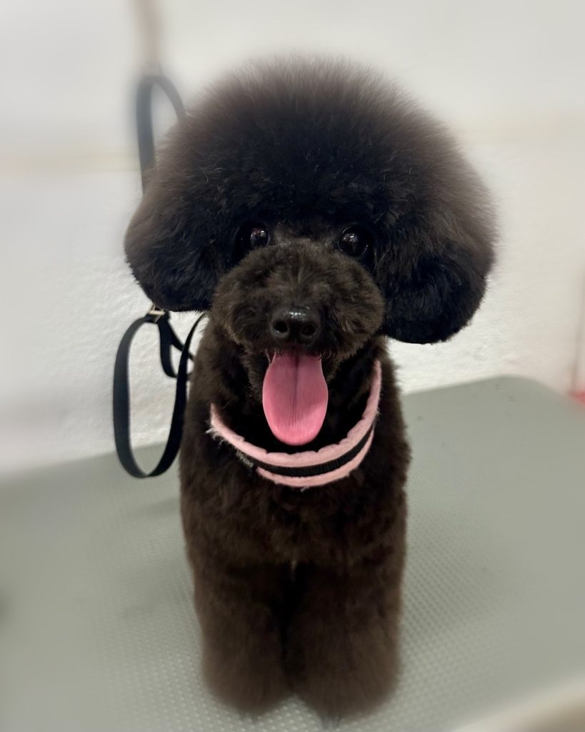 エマちゃん