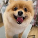 くるみちゃん