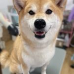 け3.jpeg