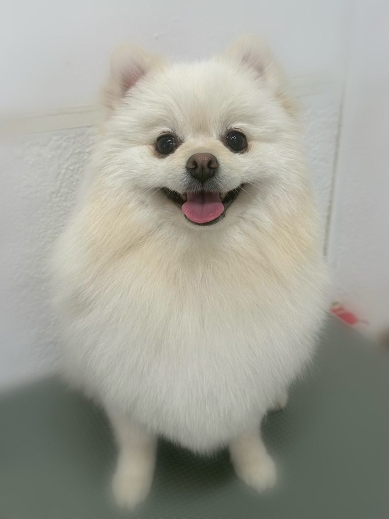 ジャーニーくん