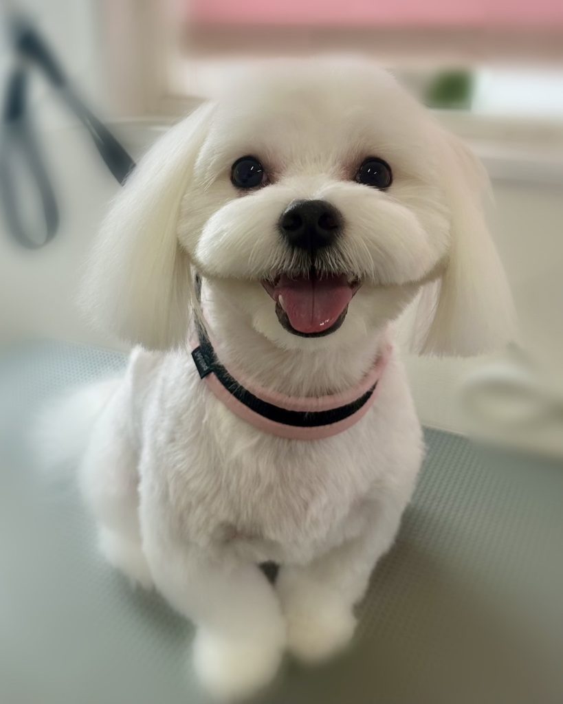 そらくん