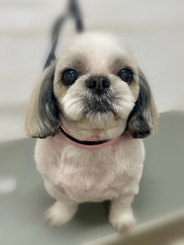 たっくん