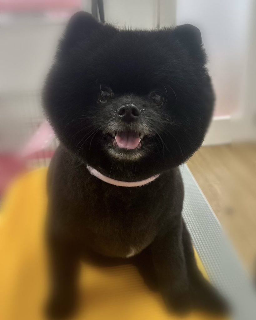 つきくん
