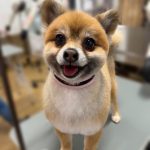 てるみちゃん