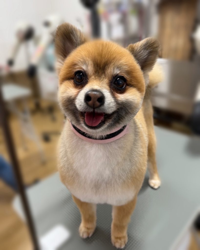 てるみちゃん