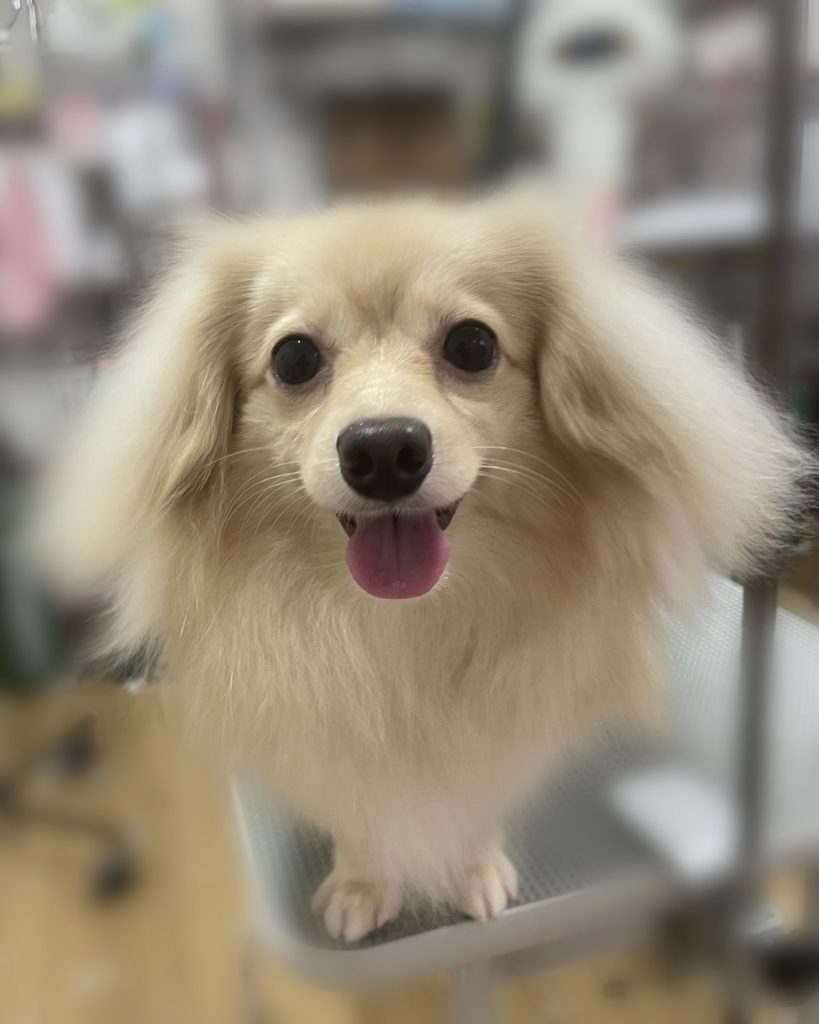 凪くん