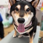 な3.jpeg