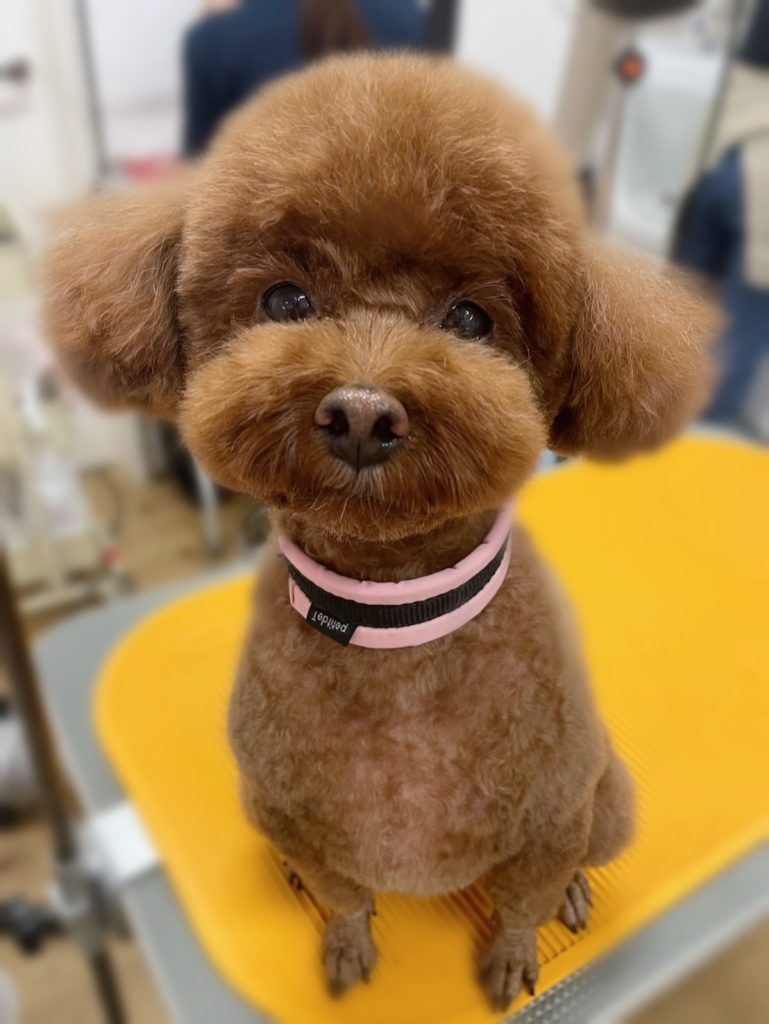 メルちゃん