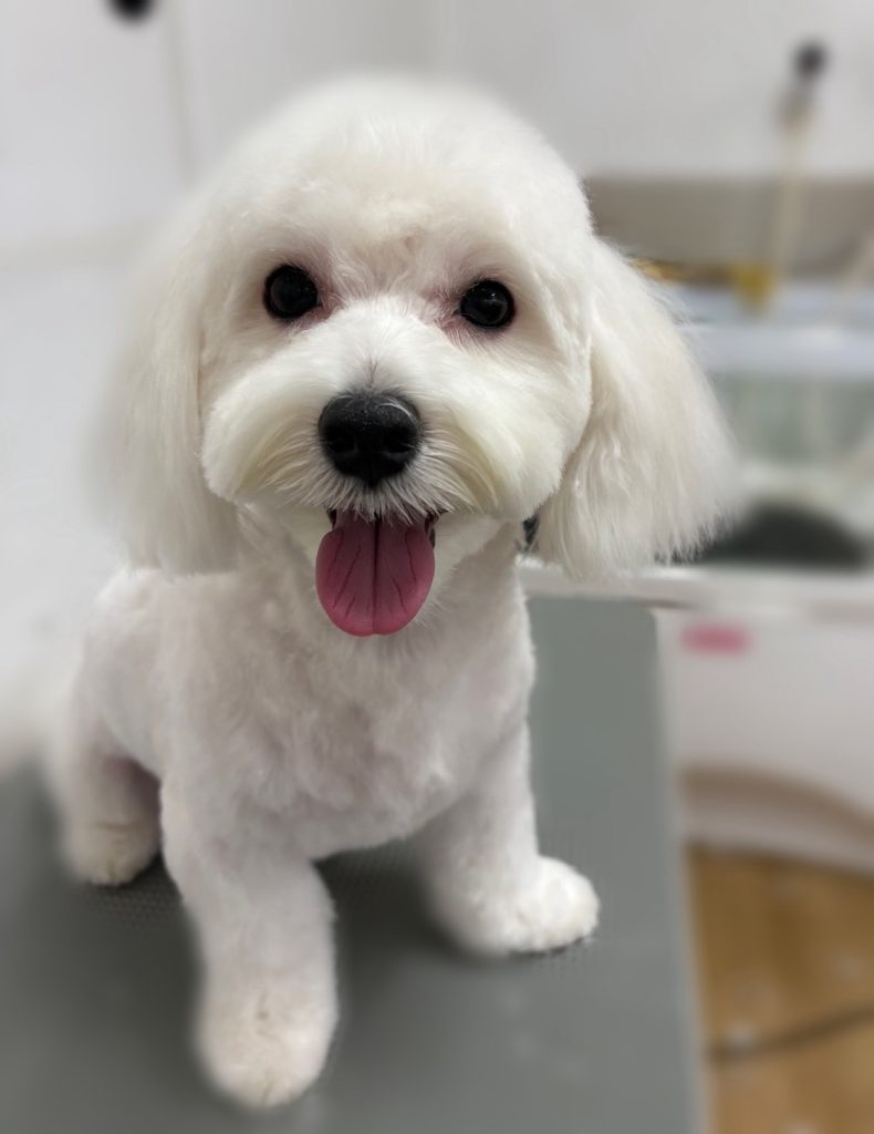 らむくん