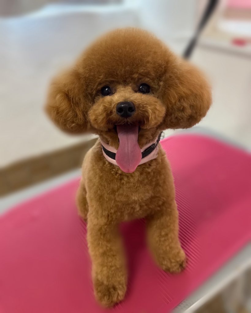 藍くん