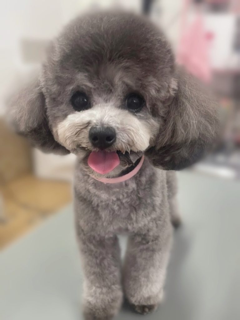 ライスちゃん
