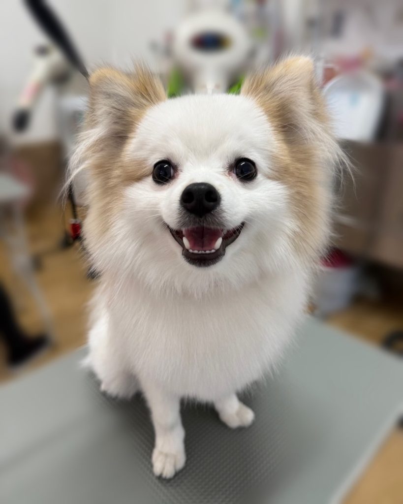 らいむくん