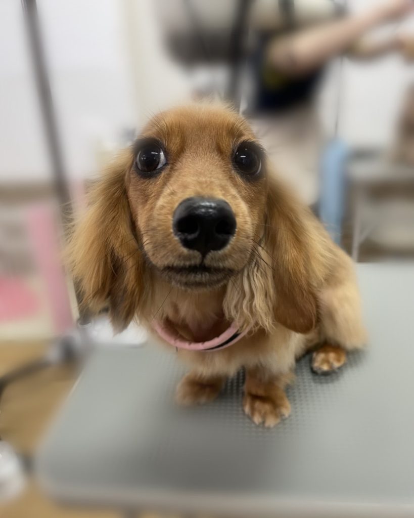 SOLくん