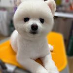お2.jpeg