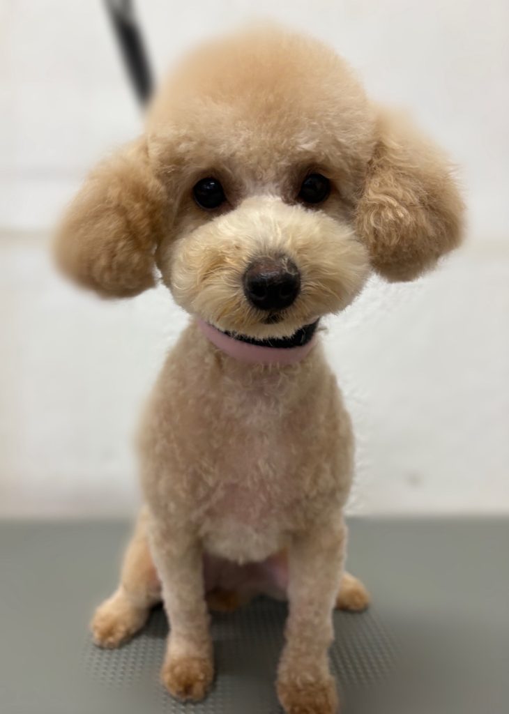 くゆちゃん