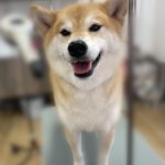 け2.jpeg