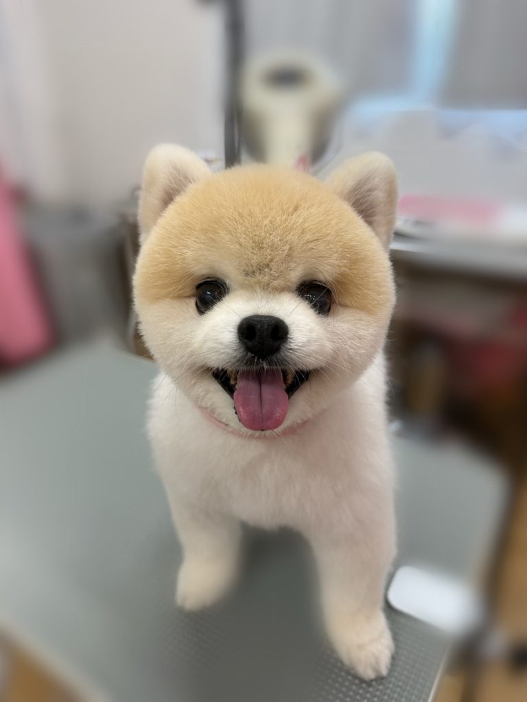 こまるくん
