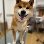 こ3.jpeg