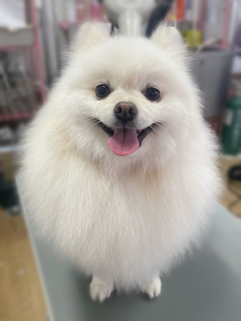 ジャーニーくん